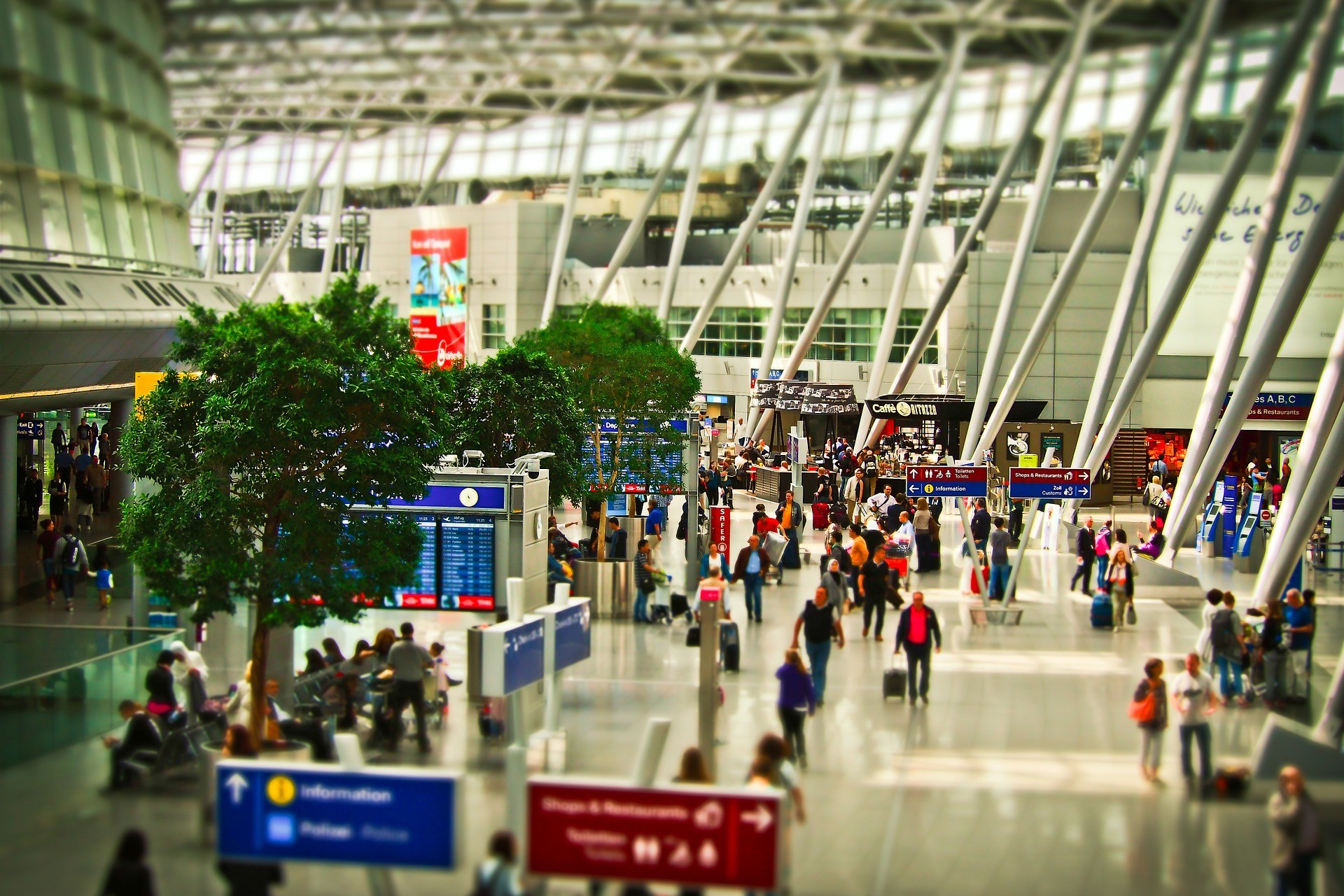6+1 Best Travel Credit Cards for December 2023
