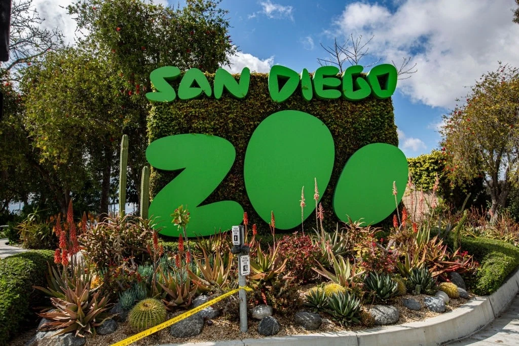 San Diego Zoo Bag Policy 2025: Everything You Need To Know