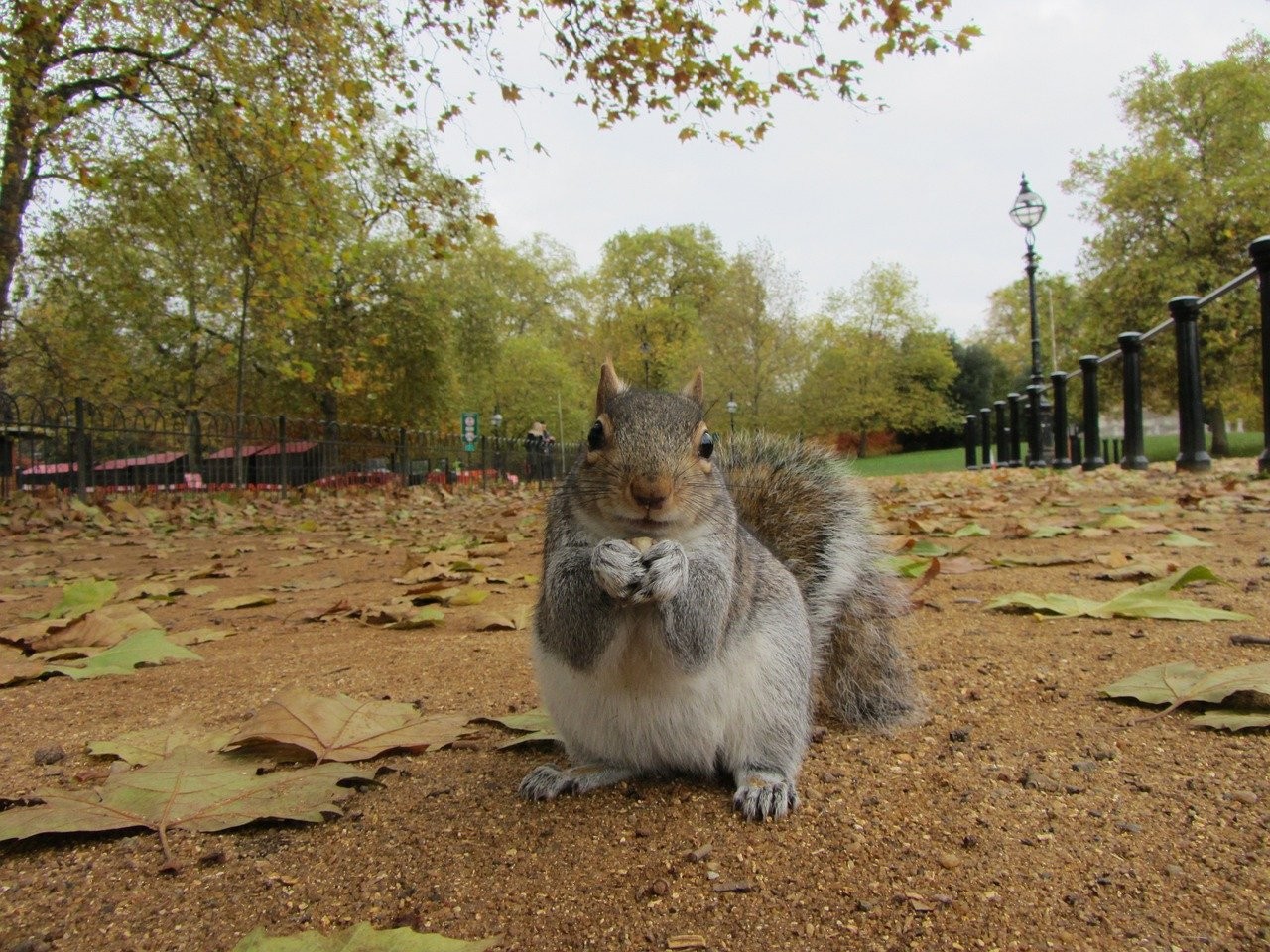 Exploring The City: Discover The Best Gardens In London With Stasher