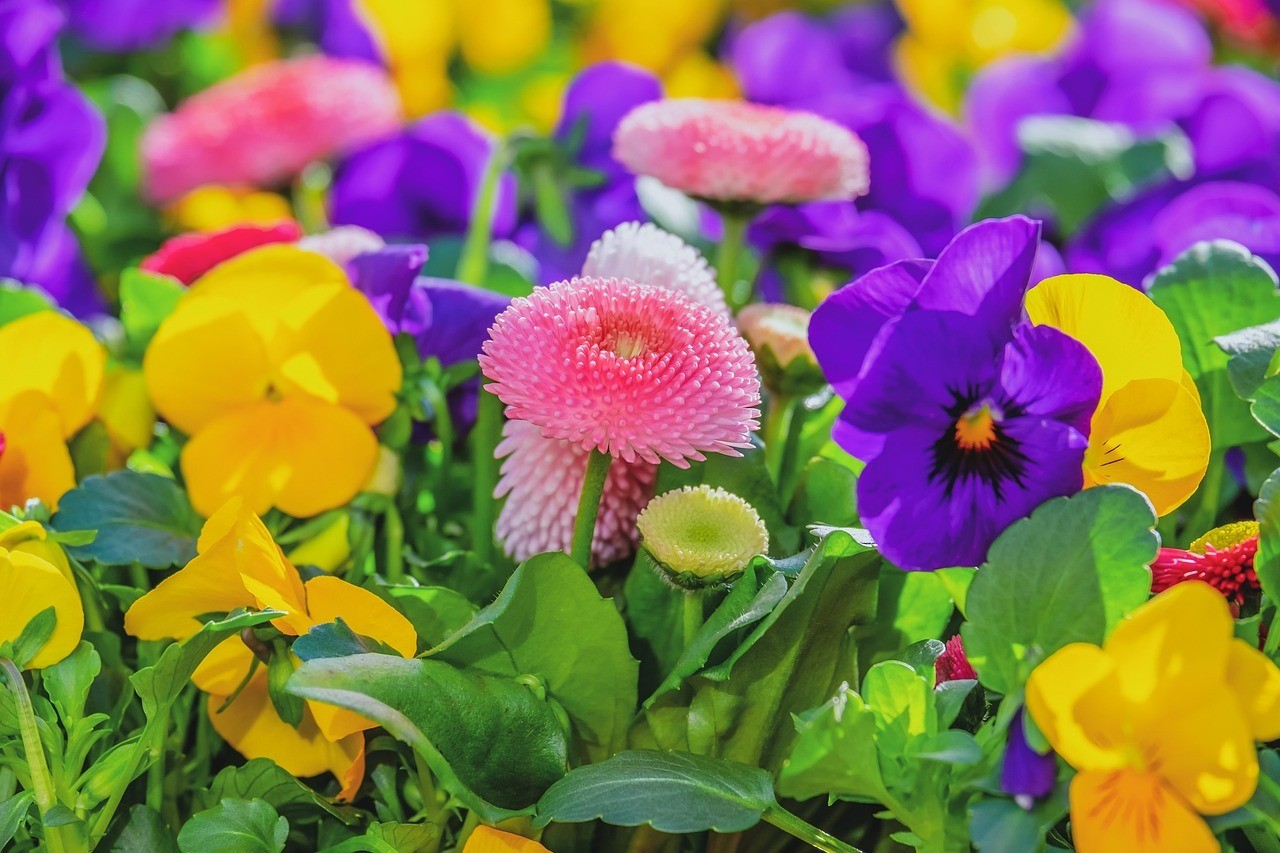 Stop And Smell The Roses: The Best Flower Markets In London