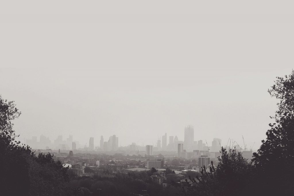 hampstead heath