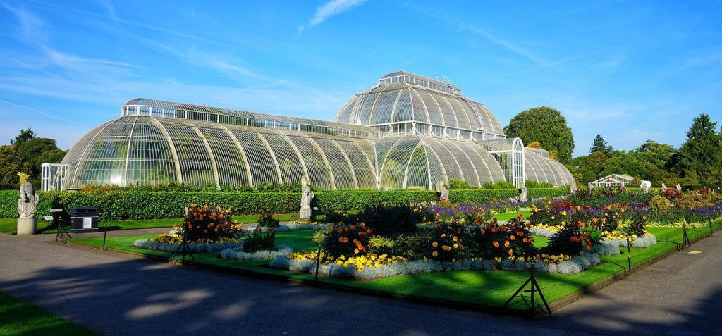 kew garden in london with a lot of different types of plants