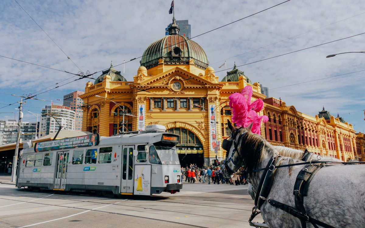 Melbourne CBD tram and horse with feather headdress