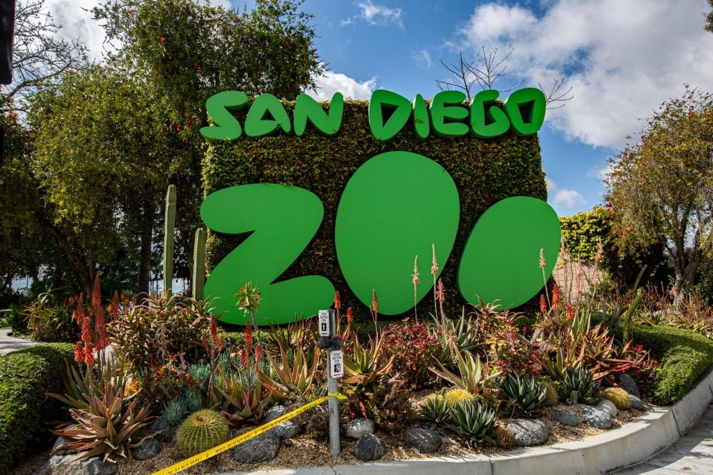 San Diego Zoo Visitors Guide