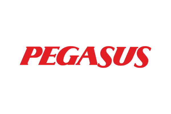 Pegasus - 2023 Guide - Luggage Delivery